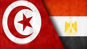 أبعاد اللقاء التونسي – المصري