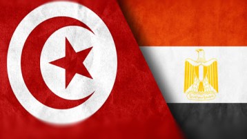 أبعاد اللقاء التونسي – المصري