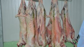 جزّار ينظم “طومبولا” للفوز بخروف!