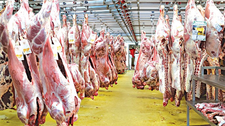 كسر أسعار اللحوم الحمراء والبيضاء قريبا