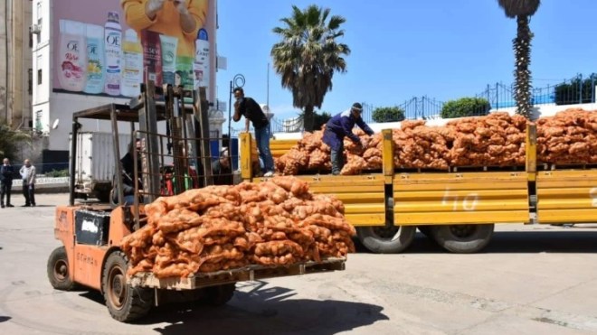 15 ألف طن من البطاطا لكسر الأسعار عبر 13 ولاية