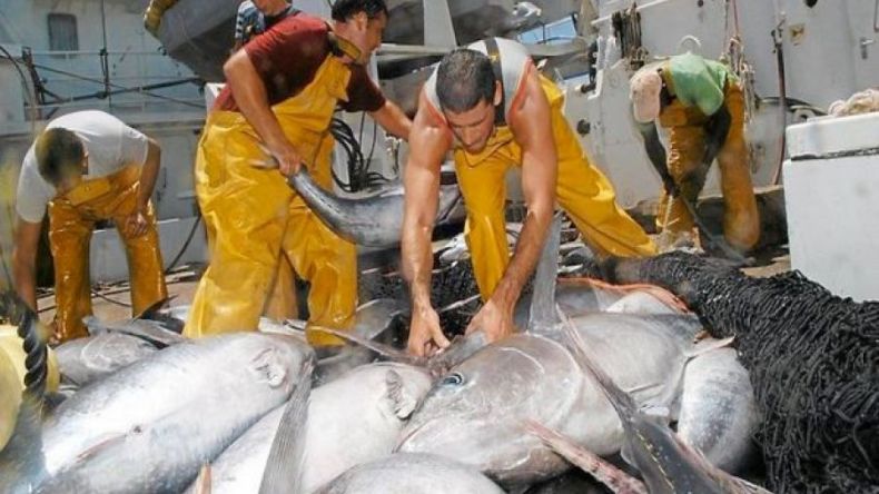 هذه هي حصة الجزائر من التونة الحمراء في البحر المتوسط