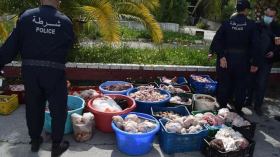 بالصور..حجز 3 أطنان من اللحوم الفاسدة موجهة للاستهلاك في شهر رمضان 