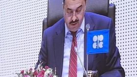 عرقاب يشارك في الاجتماع 29 للجنة المراقبة الوزارية المشتركة لأوبك