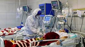 كورونا تقطع الأرحام