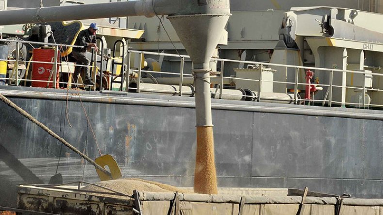 قضية ديوان الحبوب والبقول الجافة أمام محكمة تنس