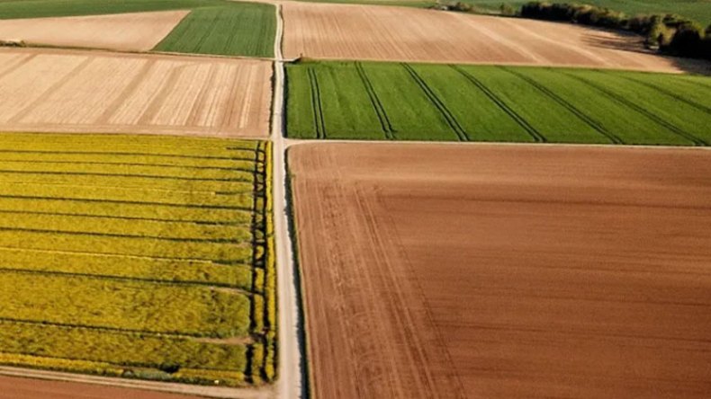 تأجير أراض فلاحية بطرق غير قانونية في سطيف
