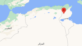 الجيش التونسي يقتل 5 إرهابيين قرب الحدود مع الجزائر