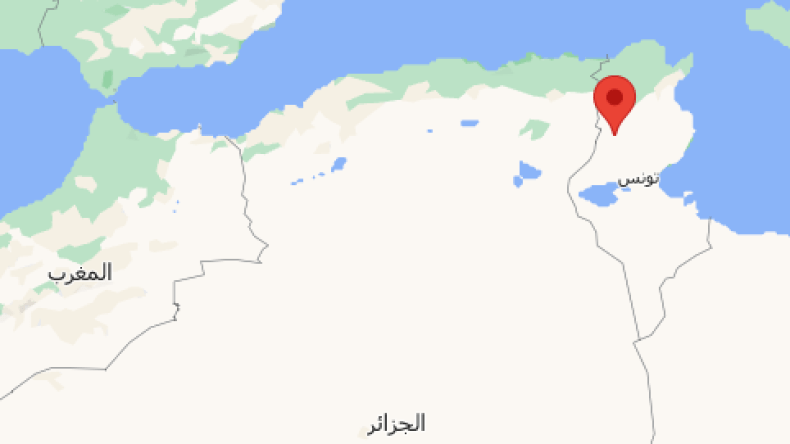 الجيش التونسي يقتل 5 إرهابيين قرب الحدود مع الجزائر