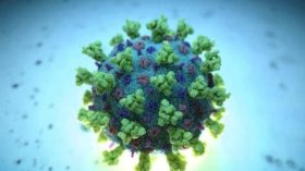IPA: nouveau bilan des variants du virus SARS-CoV-2 en Algérie