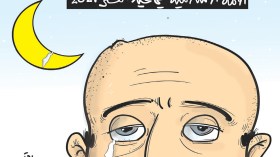 الأمة الإسلامية