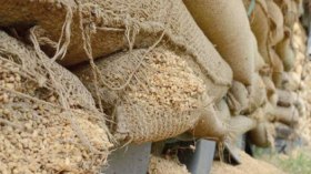 حجز 320 قنطار من القمح اللين بسيدي بلعباس