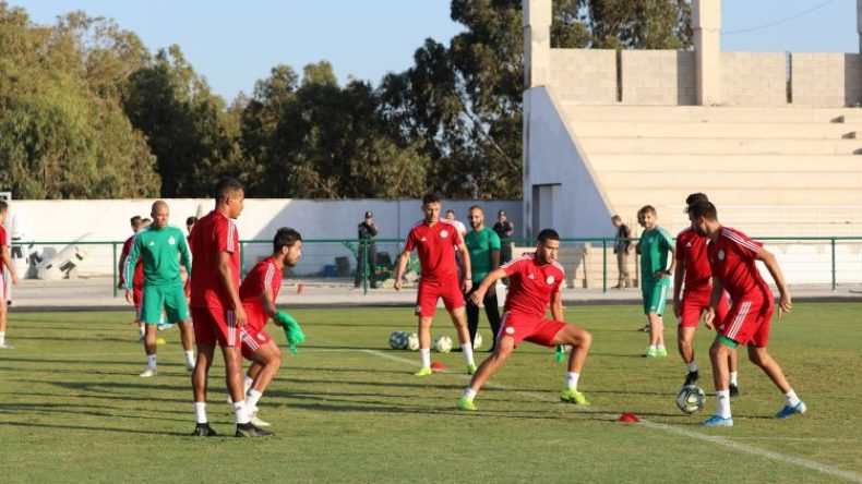 رؤساء الأندية يُطالبون بلماضي بِمنح الفرصة للمحليين