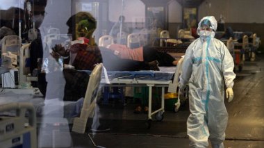 « Champignon Noir » : Nouveau prédateur qui sévit en  Inde