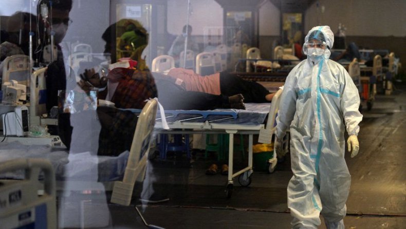 « Champignon Noir » : Nouveau prédateur qui sévit en  Inde