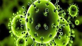 منظمة الصحة العالمية تكشف عن عامل جديد مهم في الوقاية من كورونا