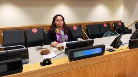 انتخاب الجزائر رئيسة للجنة أممية جديدة