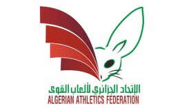 “ننتظر الضوء الأخضر لاحتضان البطولة الإفريقية”