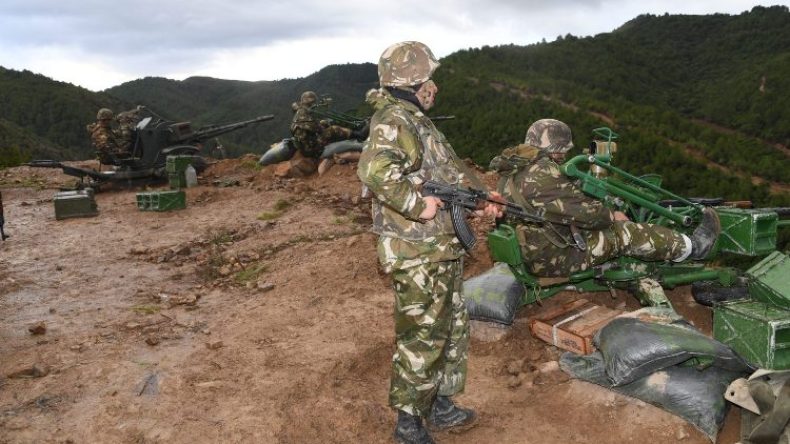 القضاء على إرهابي في عملية تمشيط بولاية المدية