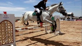 إطلاق قريبا مشروع إنجاز مركز فدرالي للفروسية