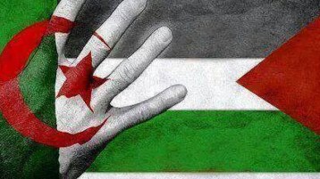 … رمزية رفع العلمين الفلسطيني والجزائري معا
