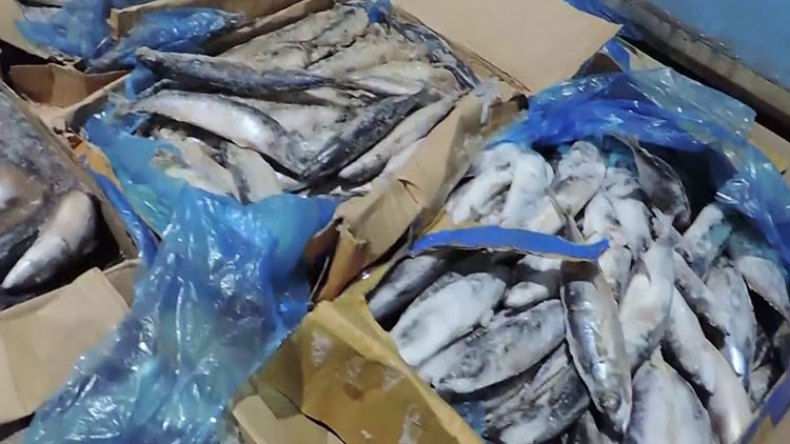 أخبار الجزائر ليوم الإثنين 03 ماي2021