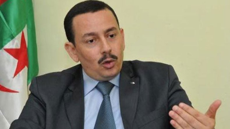 ساحلي: الدستور الجديد يحتاج إلى برلمان قوي لتجسيده