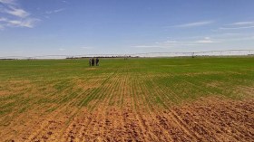 ما حدث للعقّار الفلاحي والسّياحي يندى له الجبين