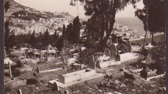 حين كانت عظام الجزائريين تستعمل في صناعة السكر