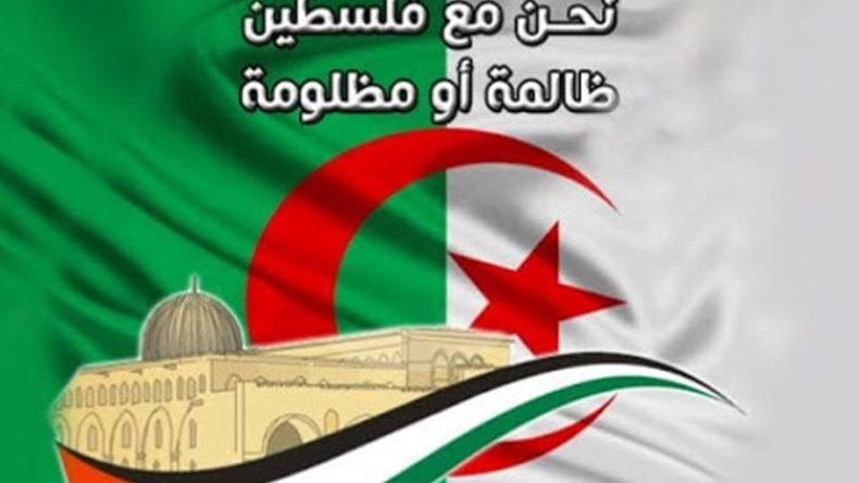 جزائريون يتضامنون مع فلسطين عبر مواقع التواصل الاجتماعي