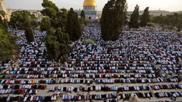 نحن.. وفلسطين