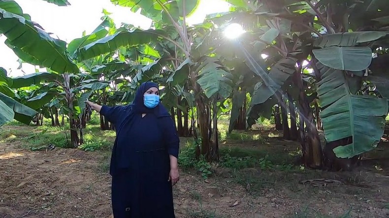 هكذا نجحت امرأة سعودية في زراعة 100 ألف شجرة موز بأنواع نادرة!