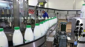 متعاملون جزائريون يوقعون اتفاقيات شراكة مع شركات الألبان الإيرلندية