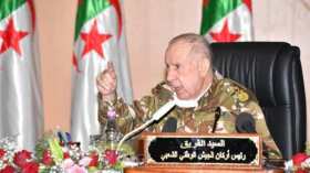 الإرهاب والجريمة المنظمة يفاقمان الوضع بمنطقة الساحل