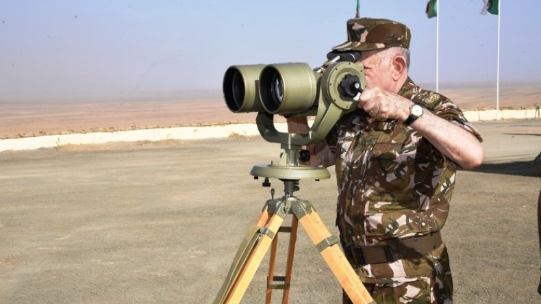 الفريق شنقريحة يشرف على تنفيذ تمرين تكتيكي بالذخيرة الحية “نصر 2021” بجانت (صور)