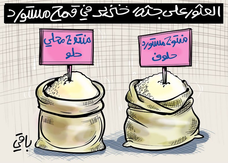 العثور على جثة خنزير في القمح المستورد