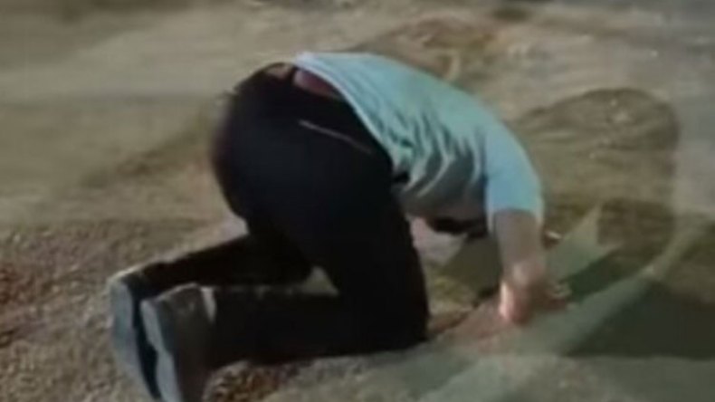 فرحة هستيرية للنواب الجدد بمقعد البرلمان