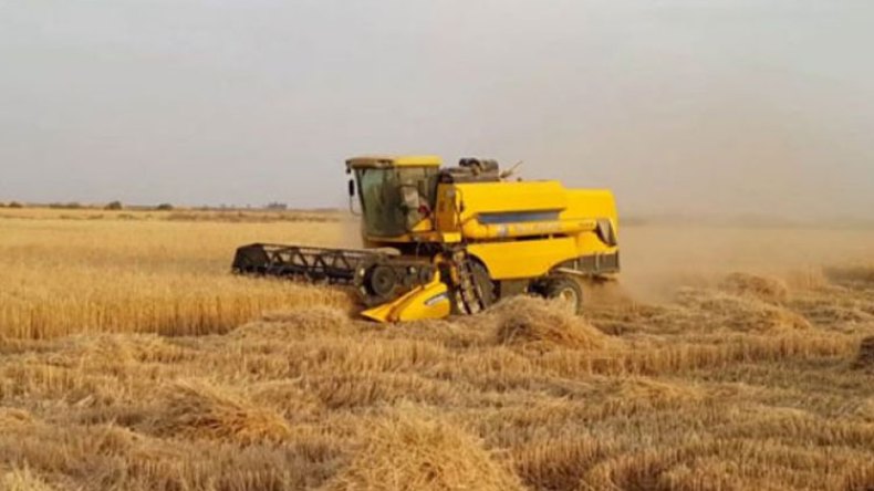 فلاحون ينتفضون بأدرار: بذور مغشوشة دمّرت الموسم