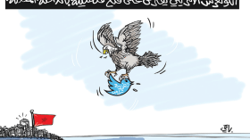 الداخلة المحتلة