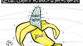 البطولة الوطنية