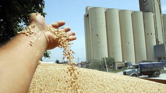 الحبس النافذ لمسؤولين في تعاونية الحبوب بالشلف