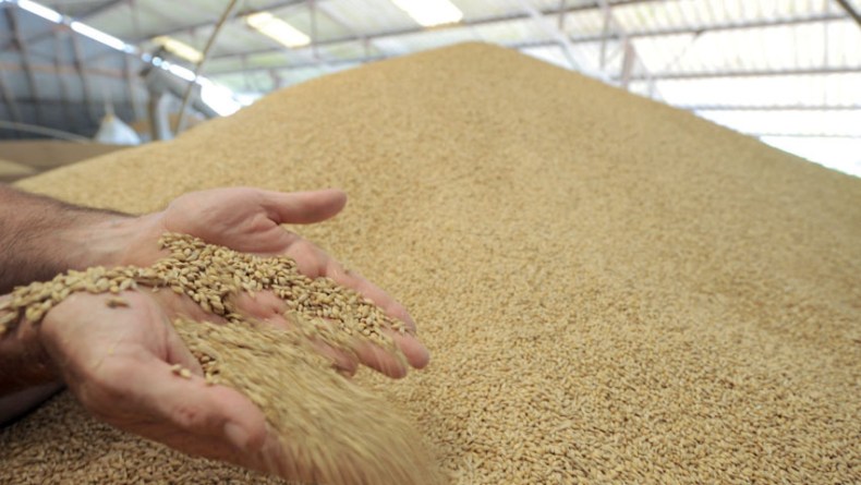 Couscous, la semoule et la farine autorisés a l’exportation