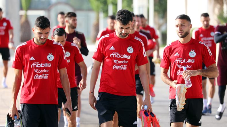 تعيين حكام مواجهتَي “الخضر” أمام مالي وتونس