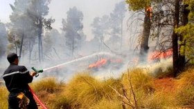 نشوب حرائق غابية بسكيكدة وسعيدة