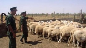 أخبار الجزائر ليوم السبت 05 جوان 2021