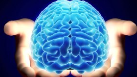 الحلقة (14): عقول معطّلة تتشبّث بالصّدفة والاتّفاق!