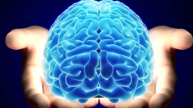 الحلقة (14): عقول معطّلة تتشبّث بالصّدفة والاتّفاق!