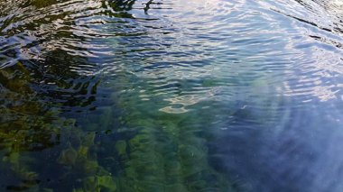 Un enfant de 7 ans sauve son père et sa sœur de la noyade