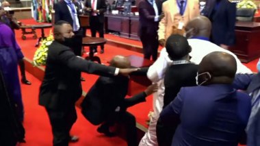 Les députés en viennent aux mains au Parlement panafricain (vidéo)