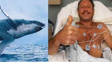 Avalé par une baleine, un pêcheur en ressort indemne